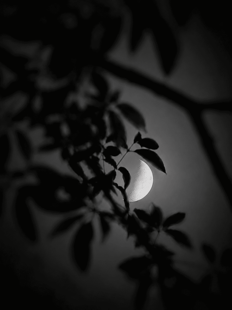 © naozo - Image from the NzPhotograph&naozo photography project