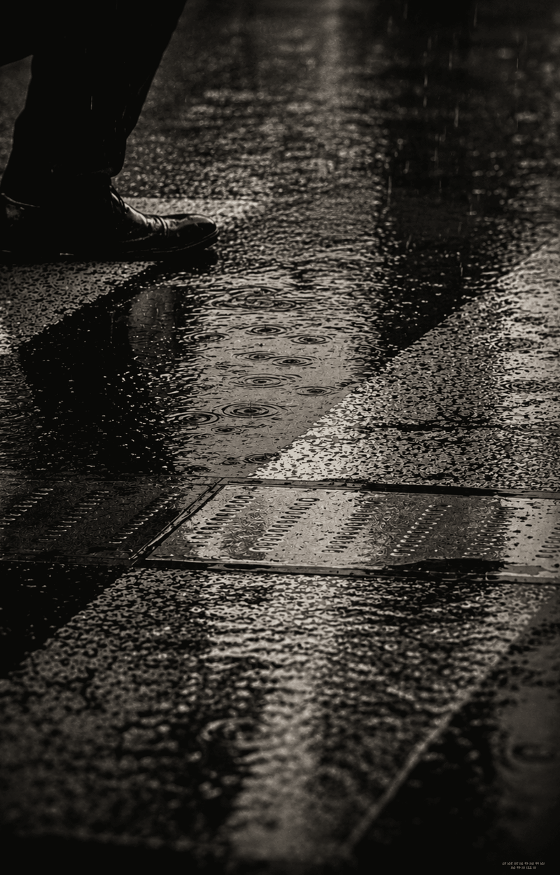 © naozo - Image from the NzPhotograph&naozo photography project