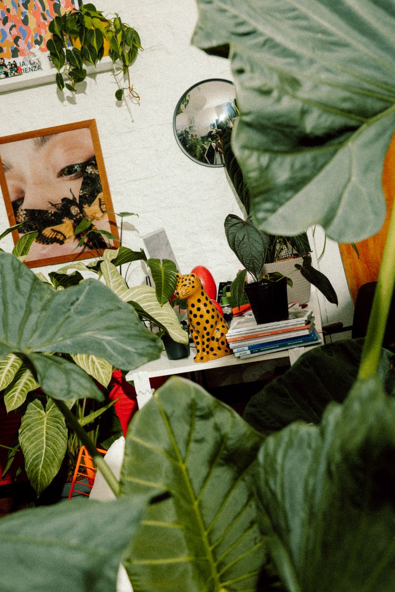 © Vito Lauciello - Image from the Plantaholic photography project