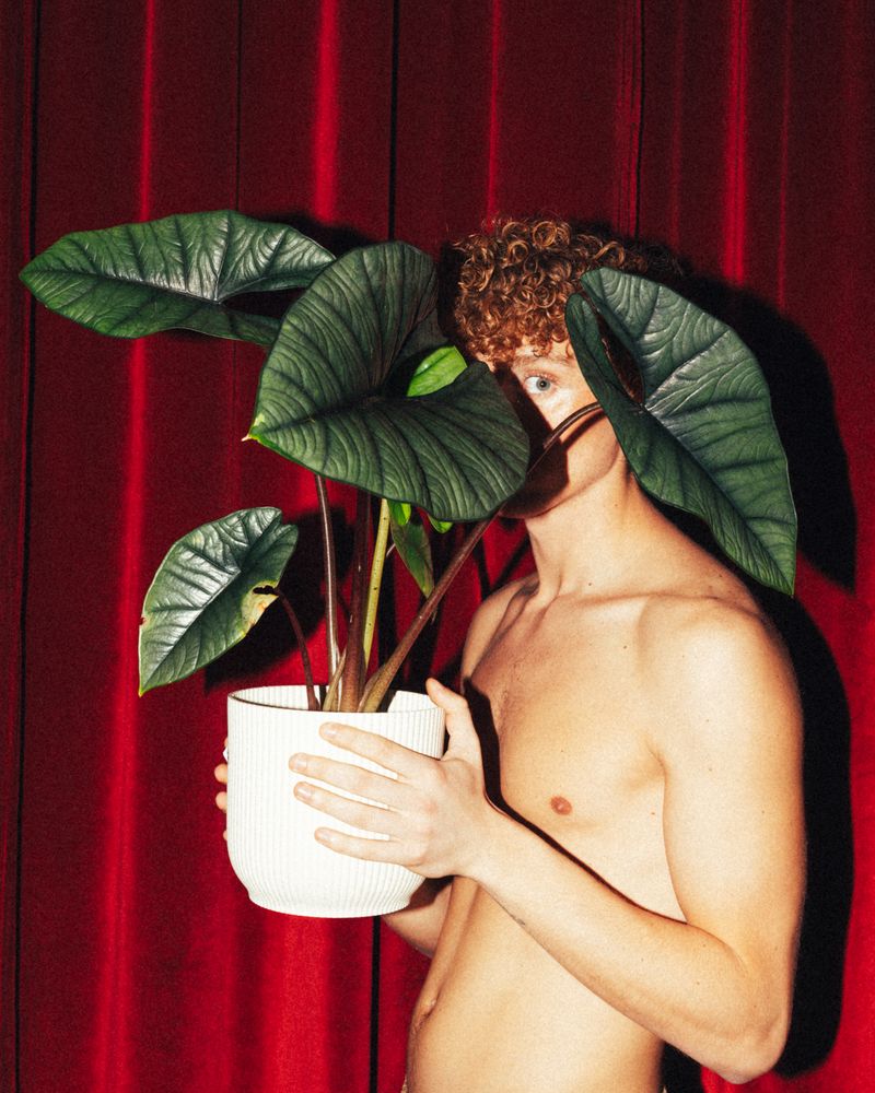 © Vito Lauciello - Image from the Plantaholic photography project