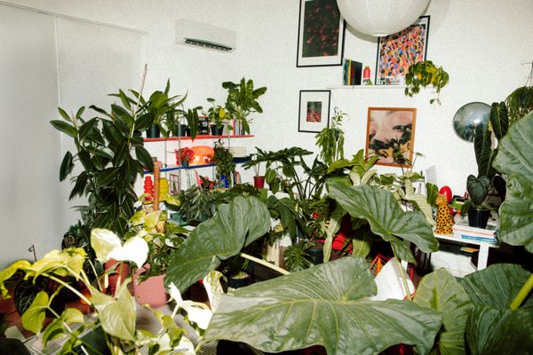 © Vito Lauciello - Image from the Plantaholic photography project