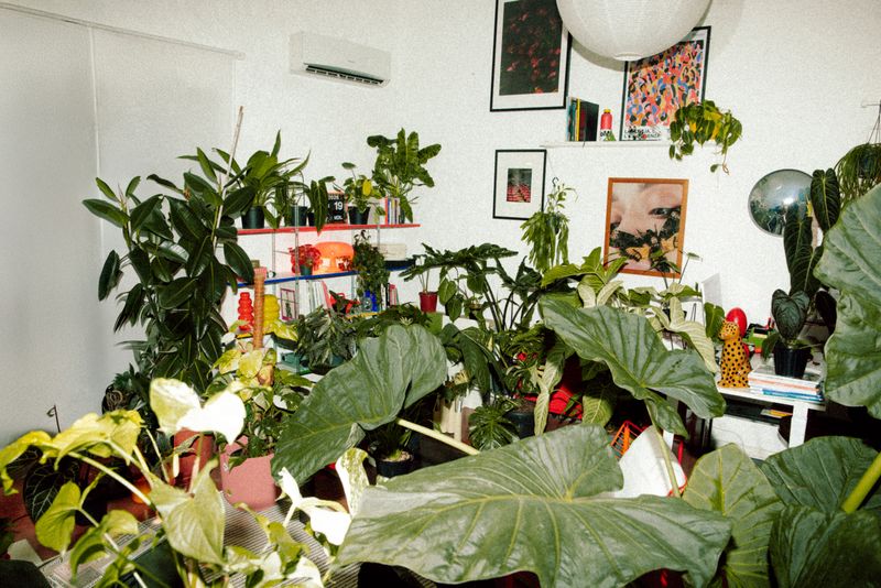 © Vito Lauciello - Image from the Plantaholic photography project