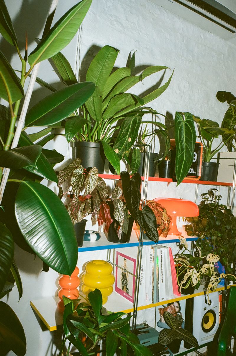 © Vito Lauciello - Image from the Plantaholic photography project