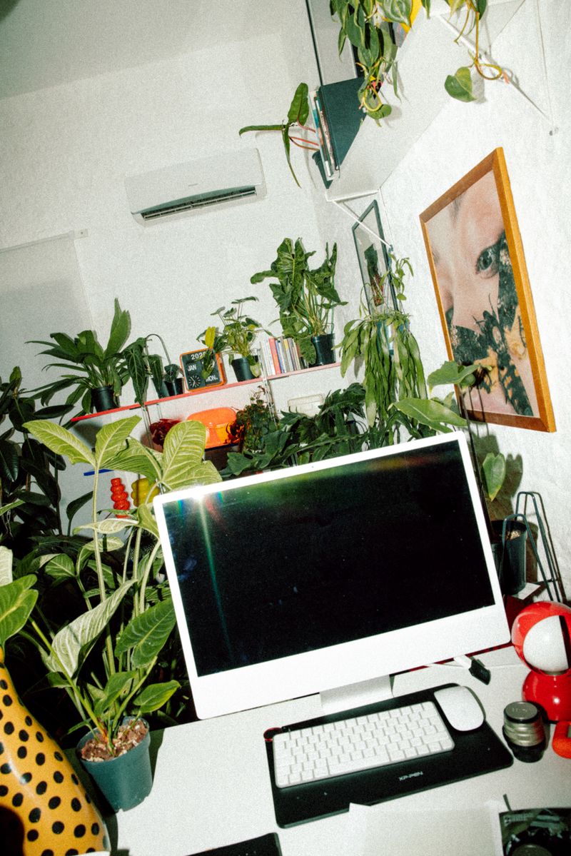 © Vito Lauciello - Image from the Plantaholic photography project