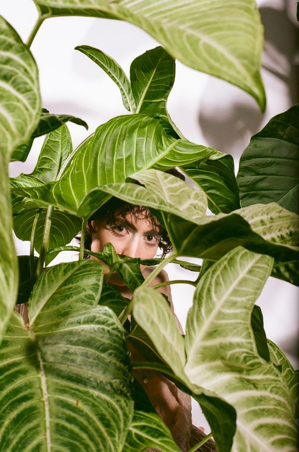 © Vito Lauciello - Image from the Plantaholic photography project