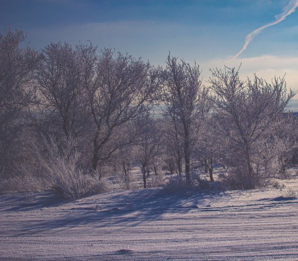 © Cezar - Image from the White Horse, Winter Child photography project