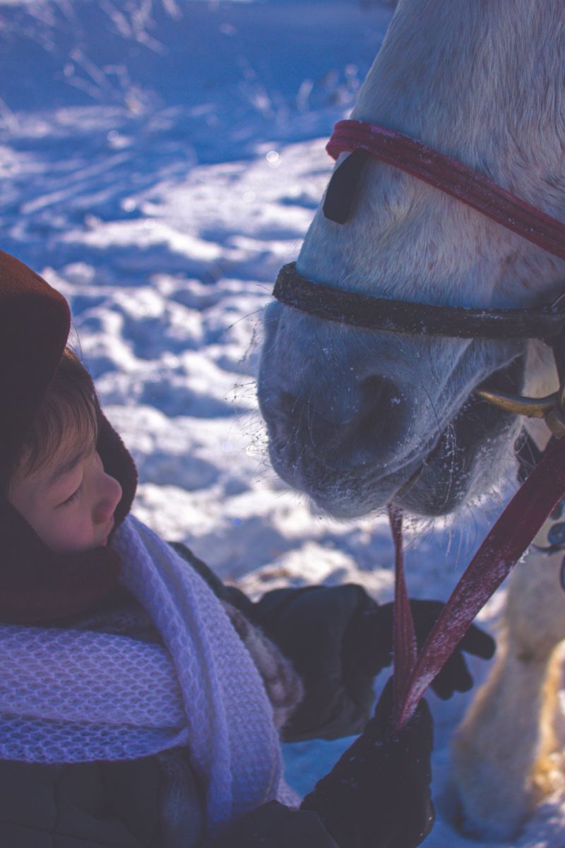 © Cezar - Image from the White Horse, Winter Child photography project