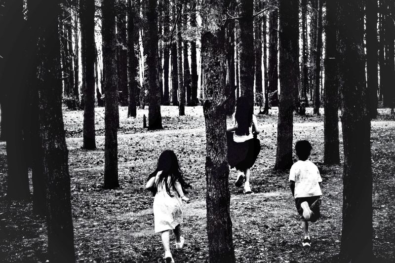 © Cezar - Image from the The Forest Path photography project