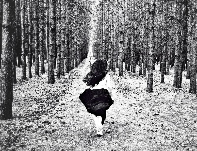 © Cezar - Image from the The Forest Path photography project