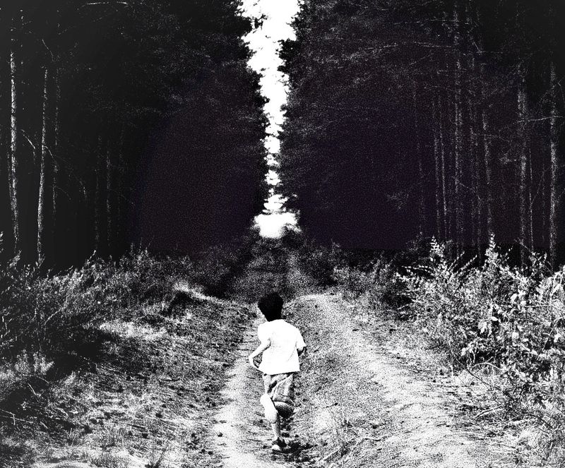 © Cezar - Image from the The Forest Path photography project