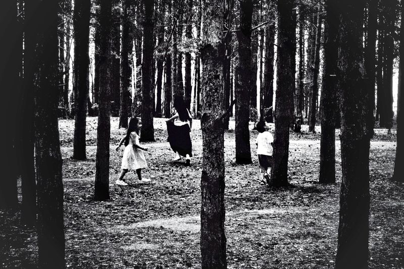 © Cezar - Image from the The Forest Path photography project