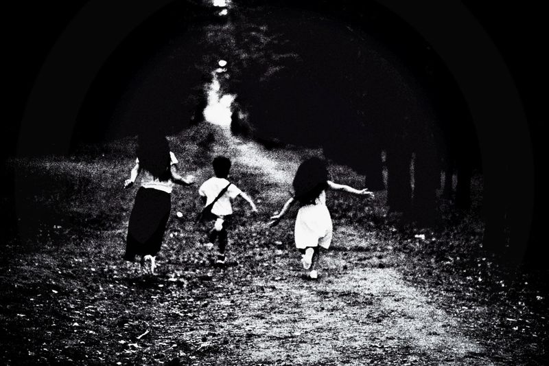 © Cezar - Image from the The Forest Path photography project