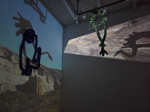Image from a project on PhMuseum