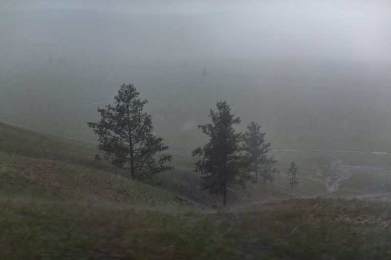 © Maren Krings - Image from the Hemp's Creation of Balance photography project