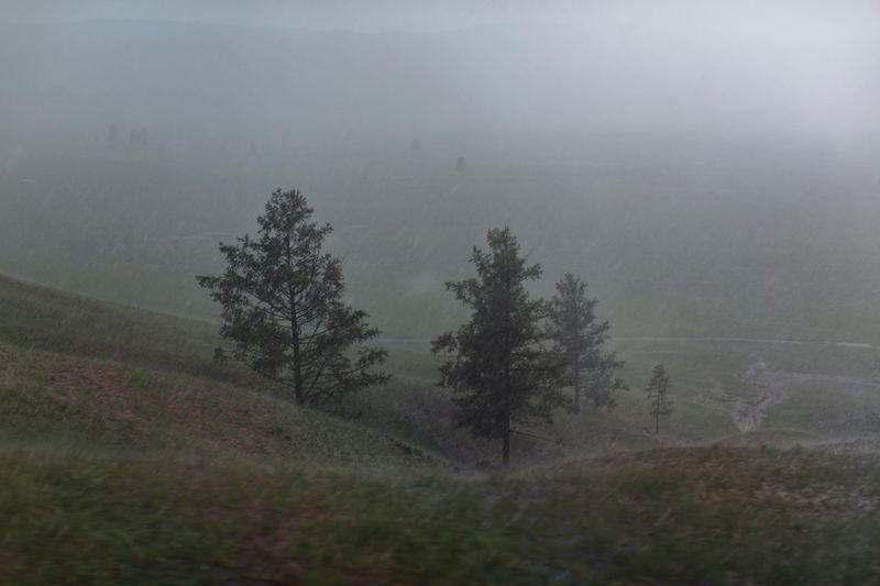 © Maren Krings - Image from the Hemp's Creation of Balance photography project