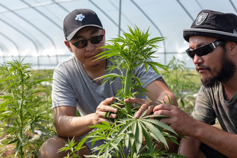 © Maren Krings - Image from the Hemp's Creation of Balance photography project