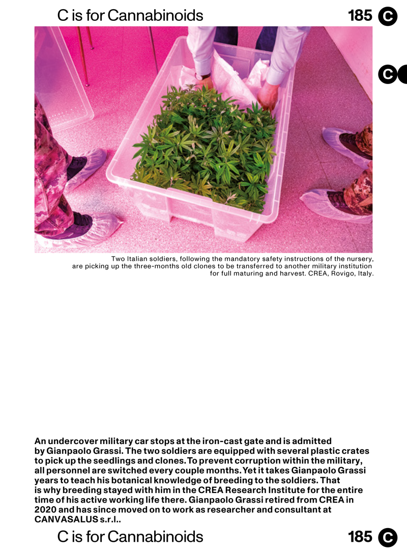 © Maren Krings - Image from the H is for HEMP photography project