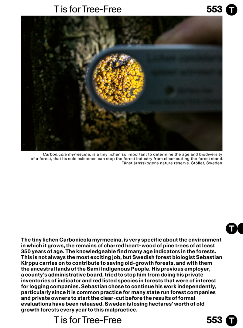 © Maren Krings - Image from the H is for HEMP photography project