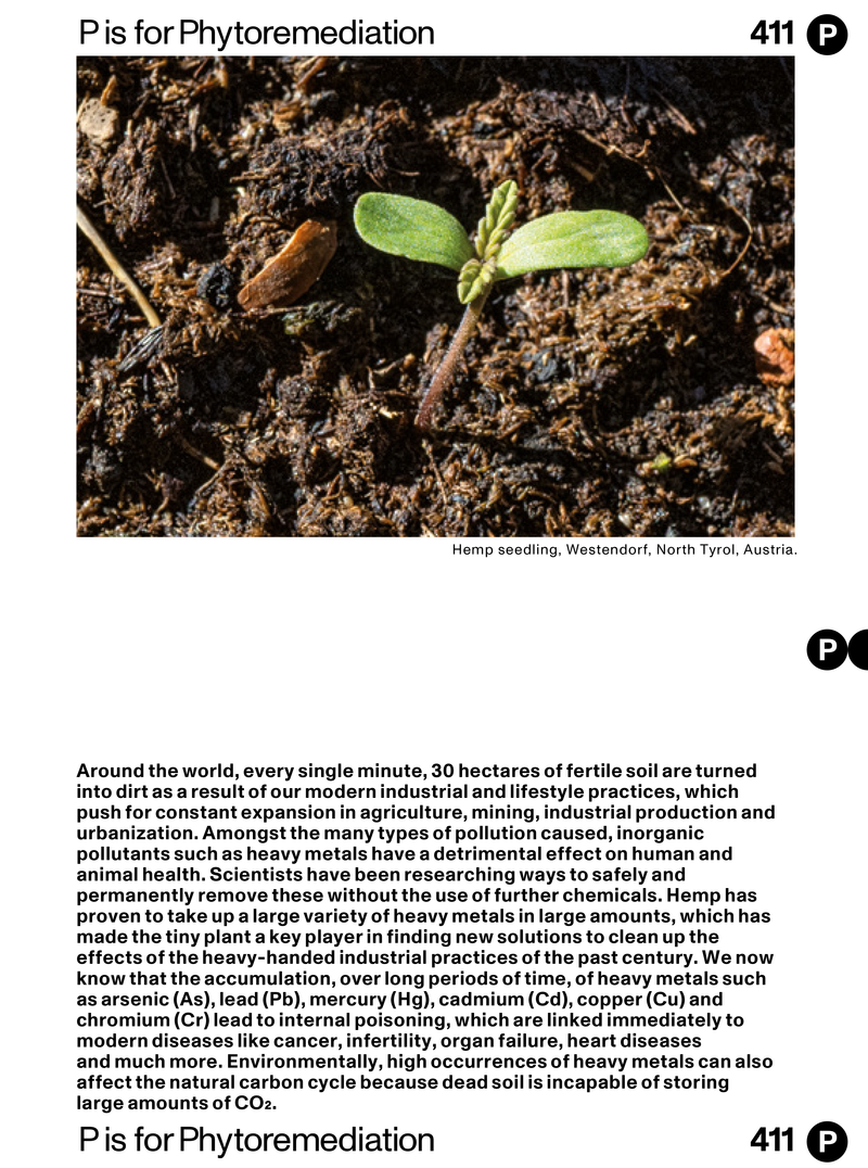 © Maren Krings - Image from the H is for HEMP photography project