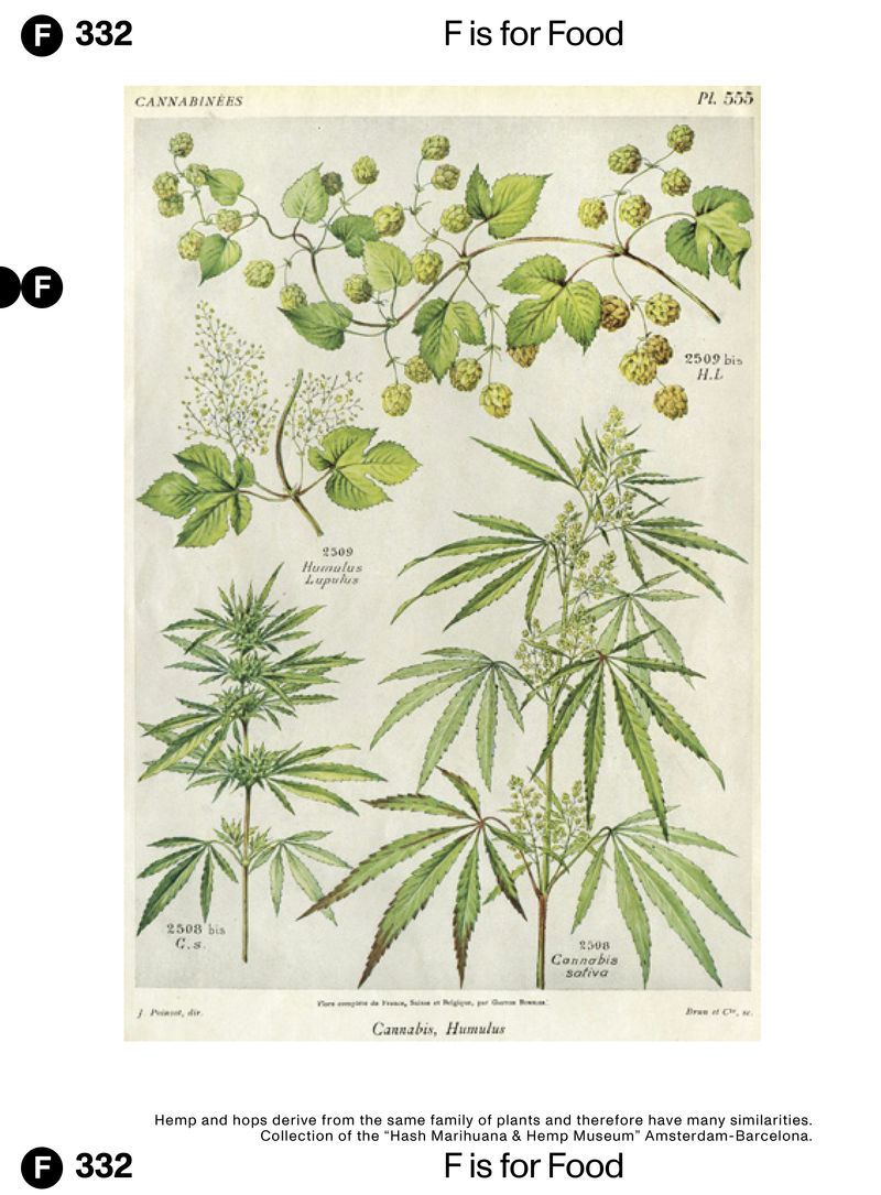 © Maren Krings - Image from the H is for HEMP photography project