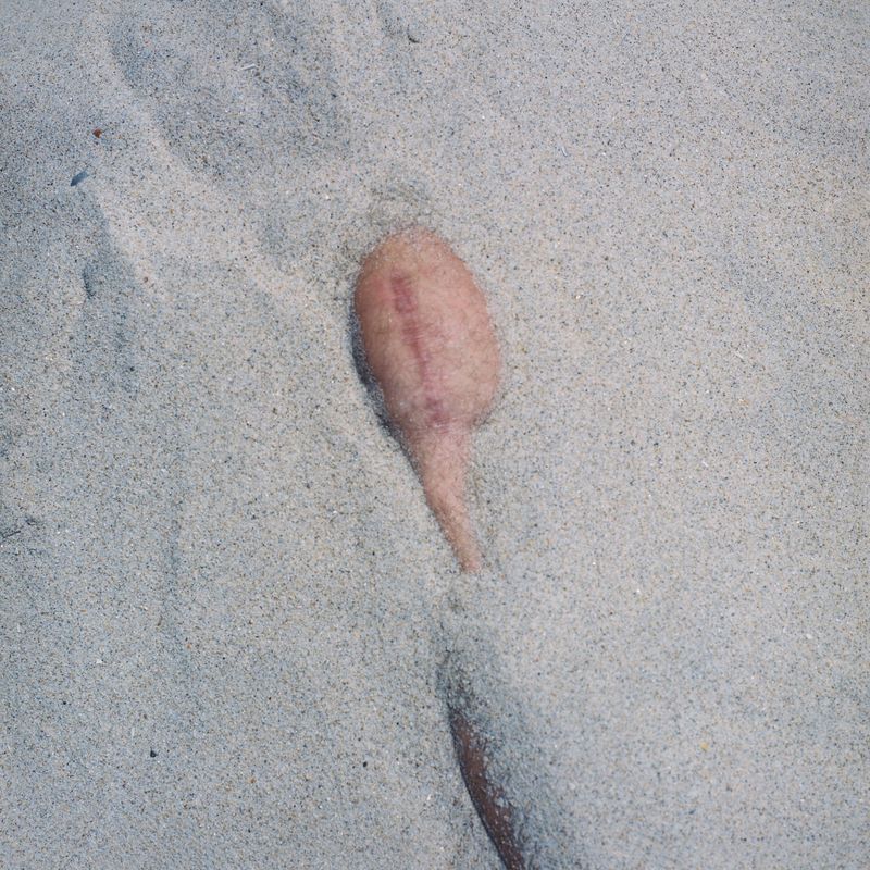 © Eleonora Signorini - Image from the Broken Into Traces photography project