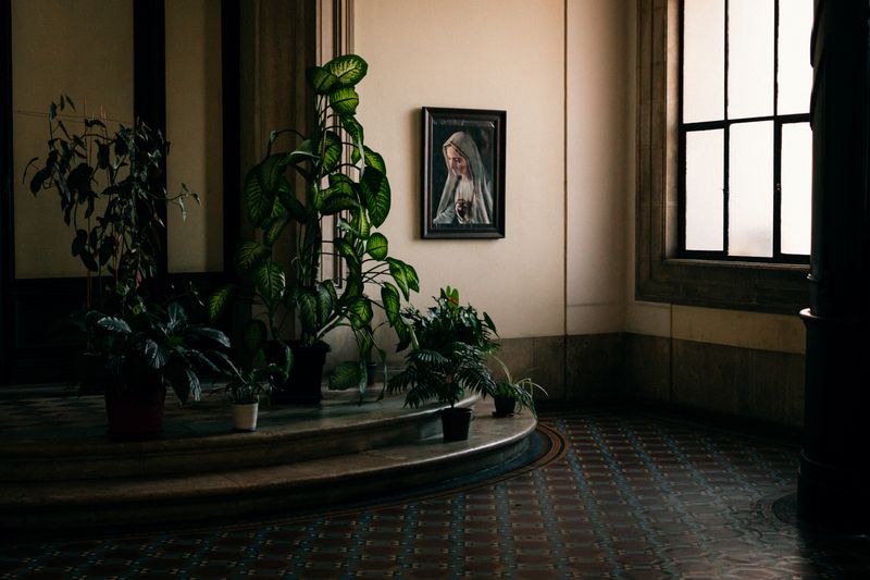 © Maria Abranches - Image from the MARIA photography project