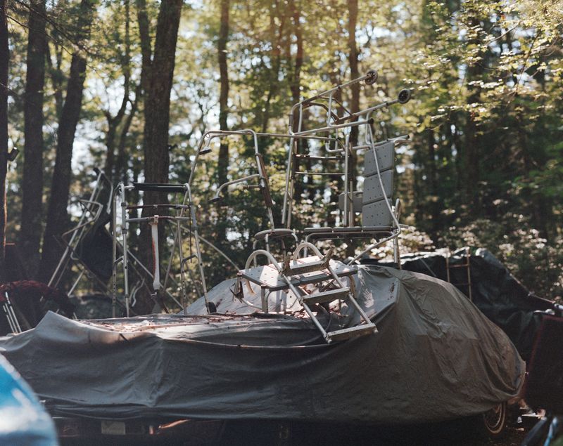 © Phoebe Shuman-Goodier - Image from the Bad Dogs photography project