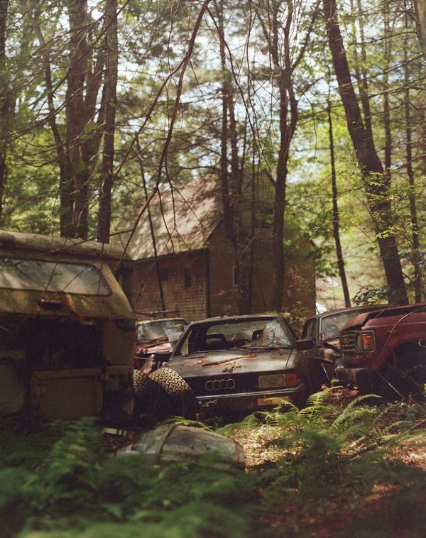 © Phoebe Shuman-Goodier - Image from the Bad Dogs photography project