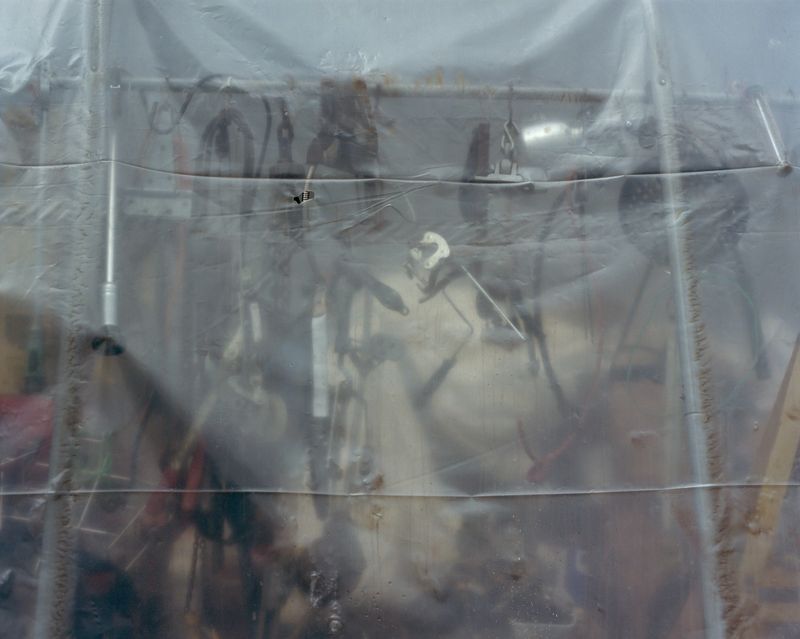 © Phoebe Shuman-Goodier - Image from the Bad Dogs photography project