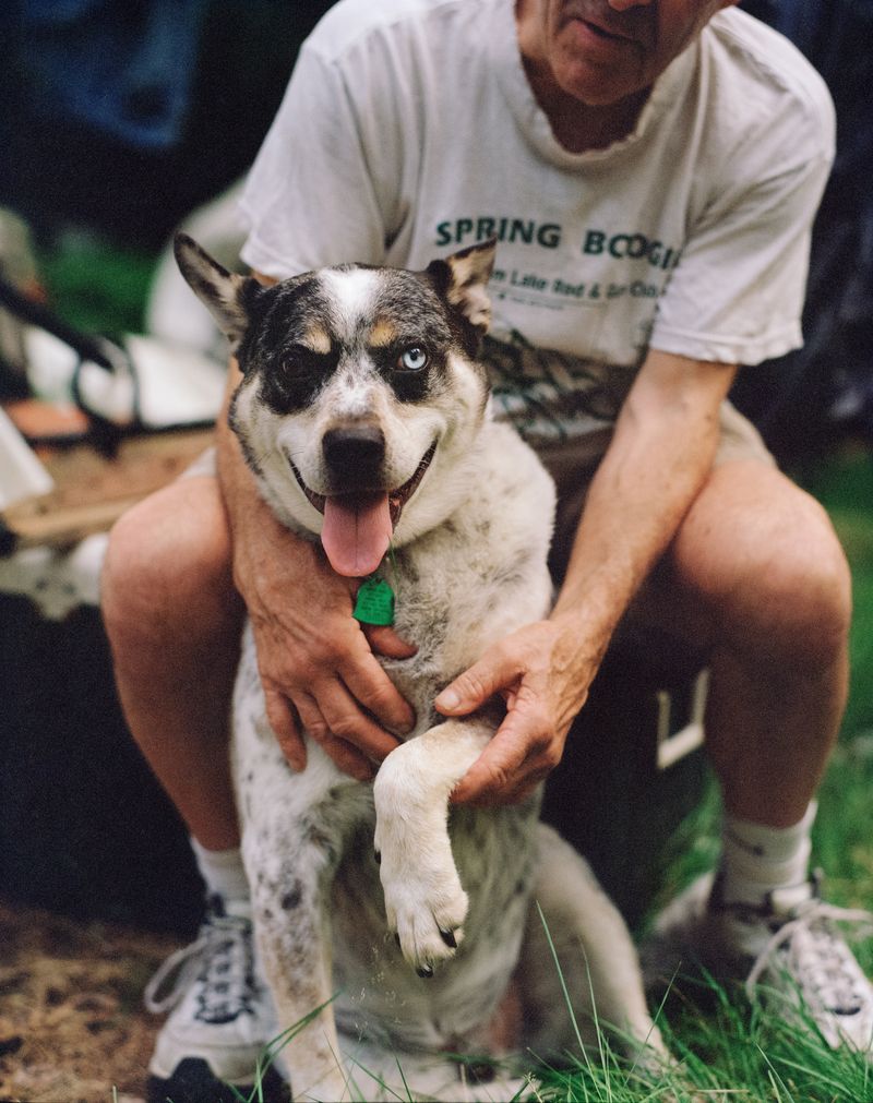 © Phoebe Shuman-Goodier - Image from the Bad Dogs photography project