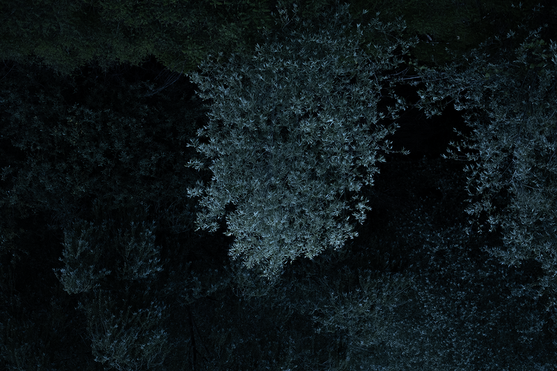 © Slavena Todorova - Image from the Danube photography project