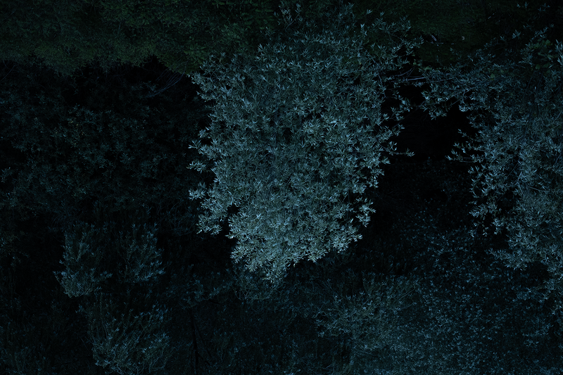 © Slavena Todorova - Image from the Danube photography project