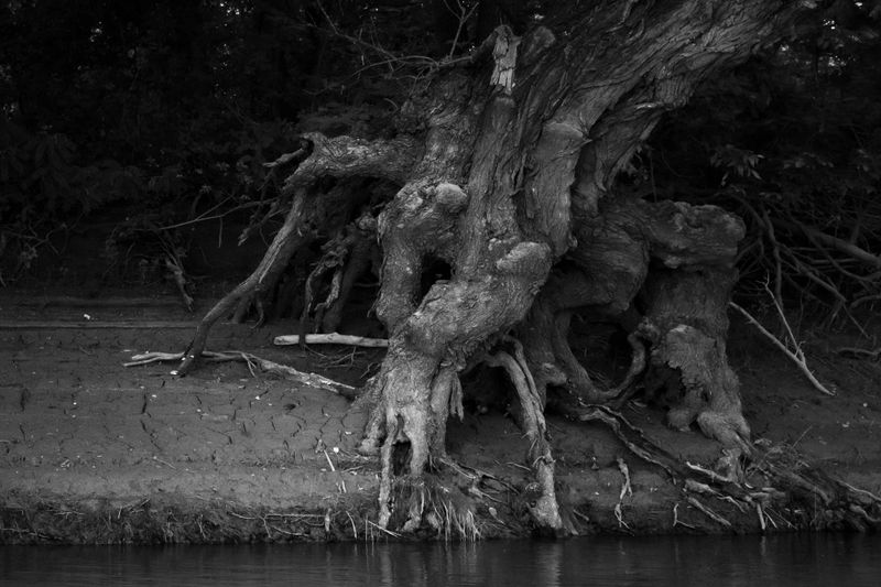 © Slavena Todorova - Image from the Danube photography project