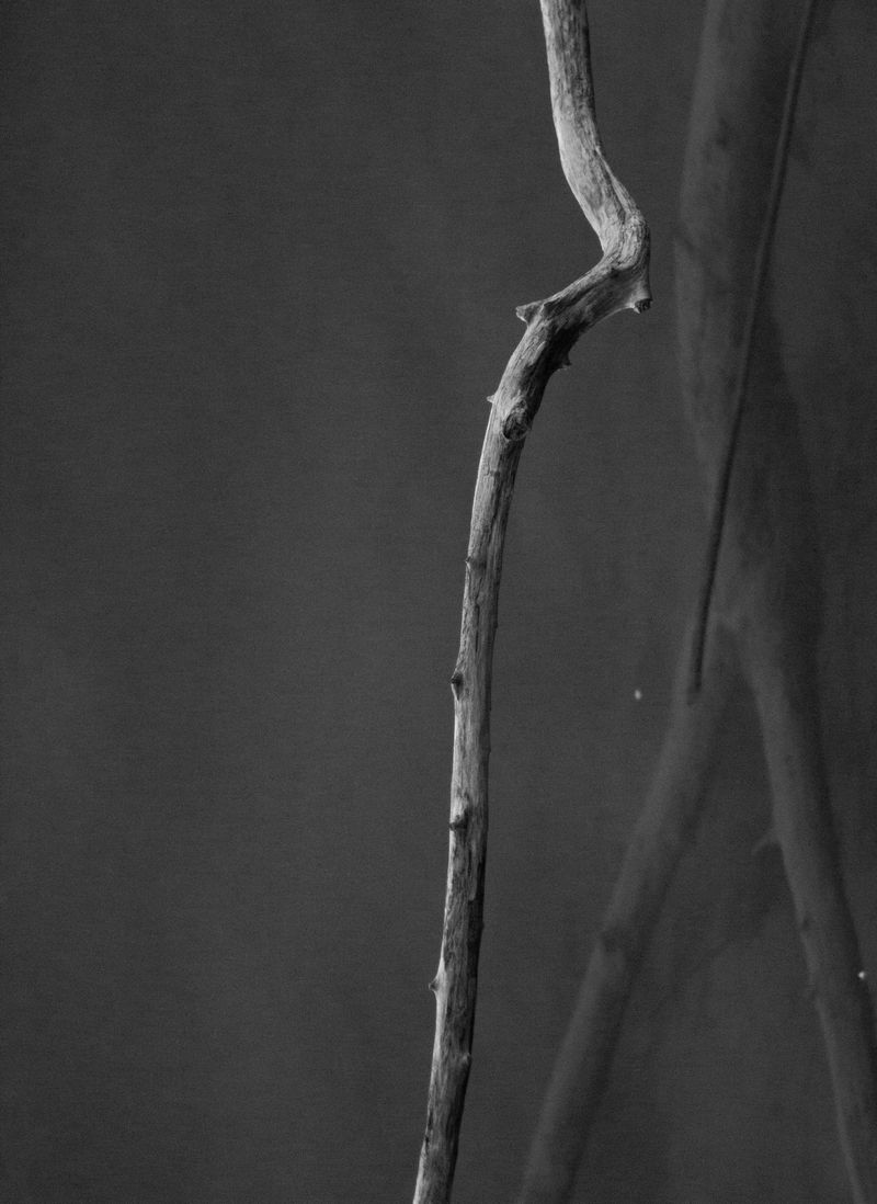 © Slavena Todorova - Image from the Danube photography project