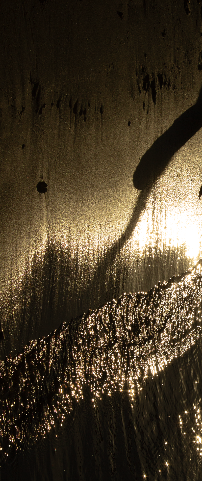 © Slavena Todorova - Image from the Danube photography project