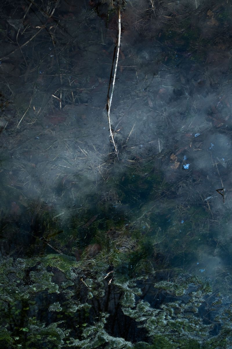 © Slavena Todorova - Image from the Danube photography project