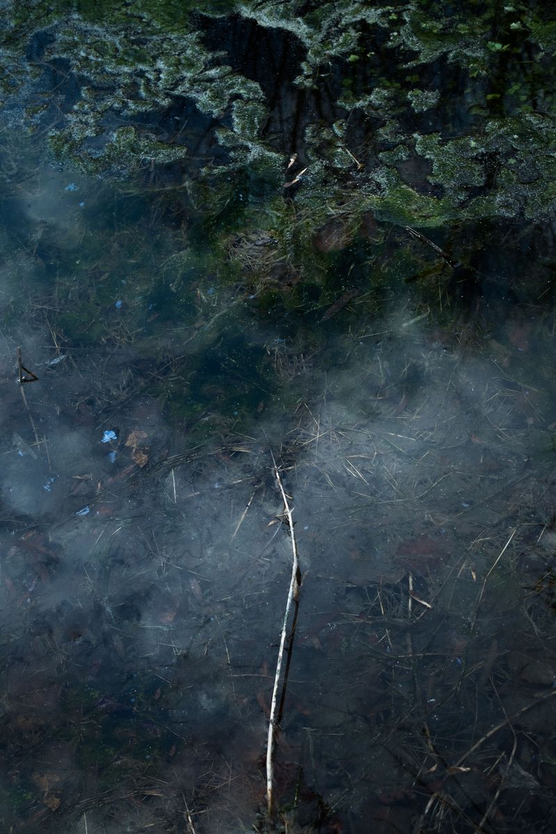 © Slavena Todorova - Image from the Danube photography project