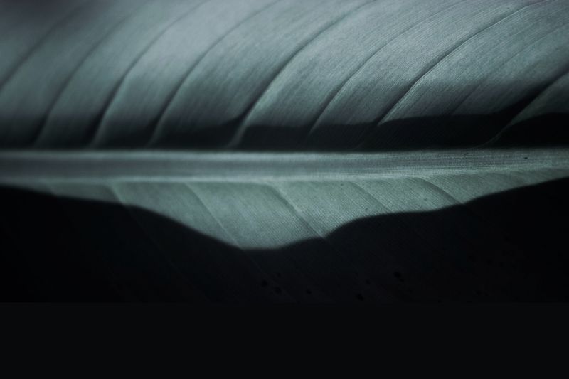 © Slavena Todorova - Image from the Danube photography project