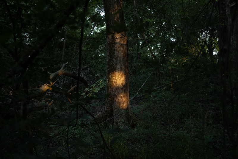 © Slavena Todorova - Image from the Danube photography project