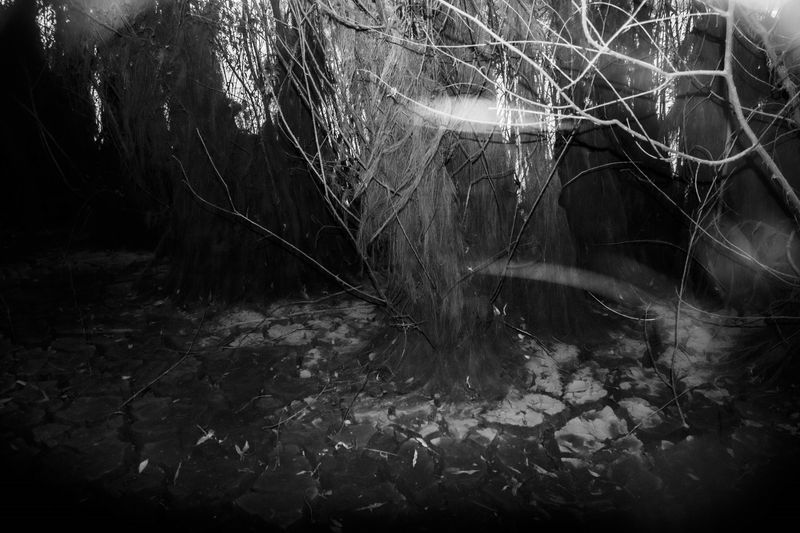 © Slavena Todorova - Image from the Danube photography project