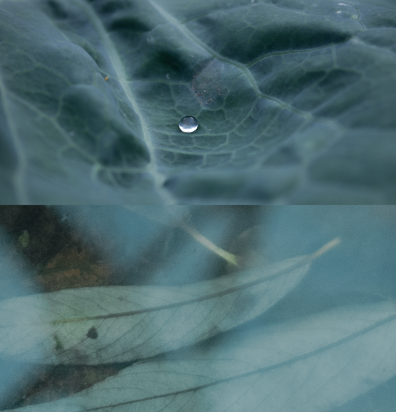 © Slavena Todorova - Image from the Danube photography project