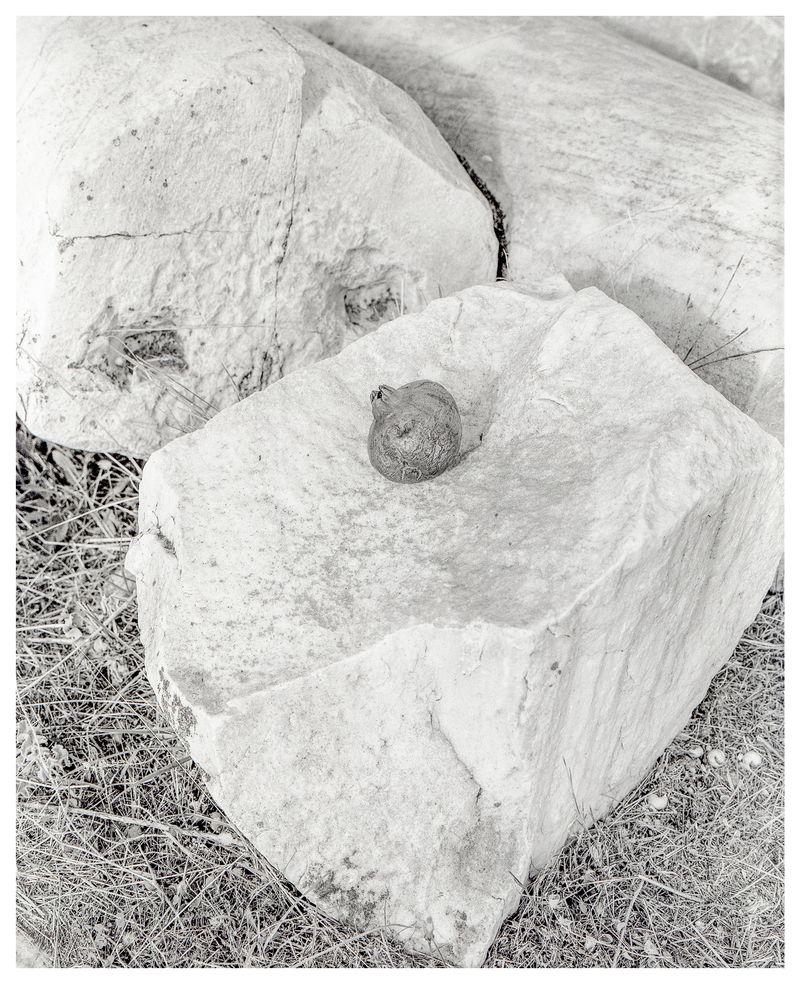 © Myrto Papadopoulos - Image from the ELEU SIS photography project