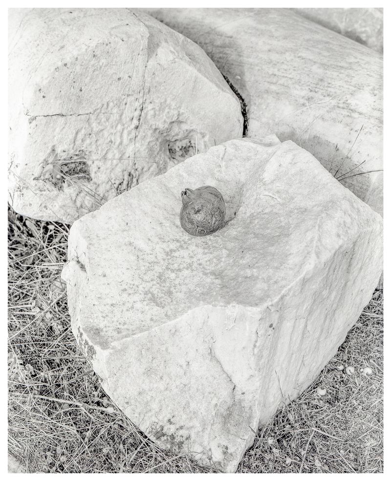 © Myrto Papadopoulos - Image from the ELEU SIS photography project