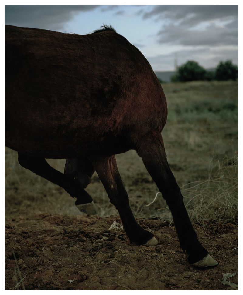 © Myrto Papadopoulos - Image from the ELEU SIS photography project