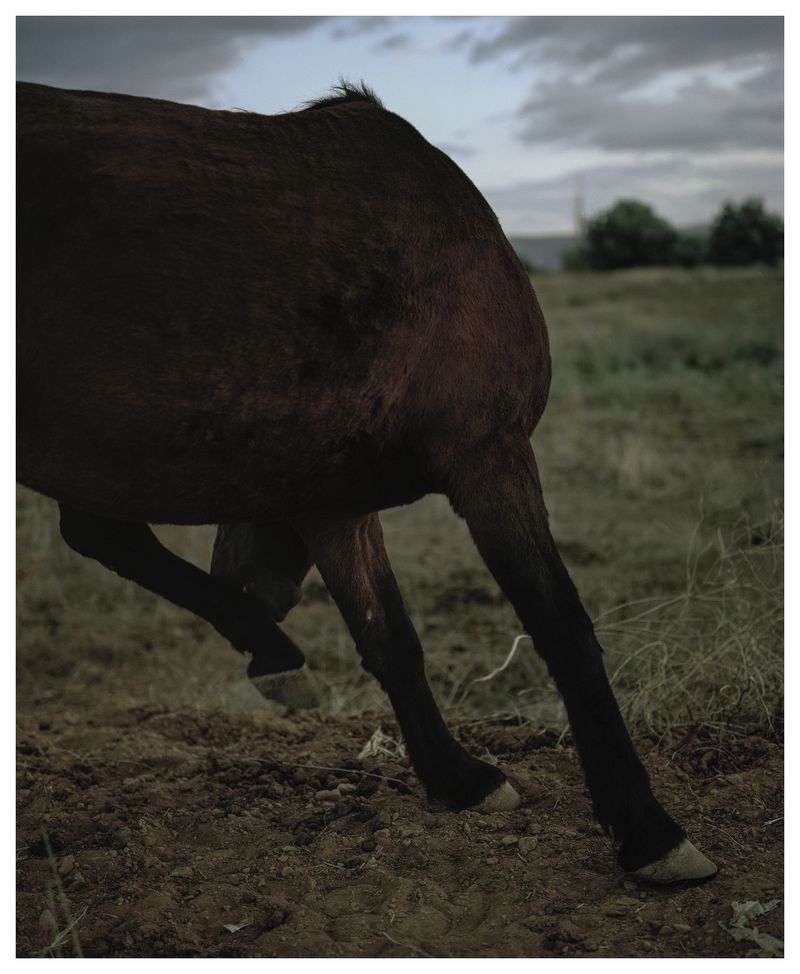 © Myrto Papadopoulos - Image from the ELEU SIS photography project