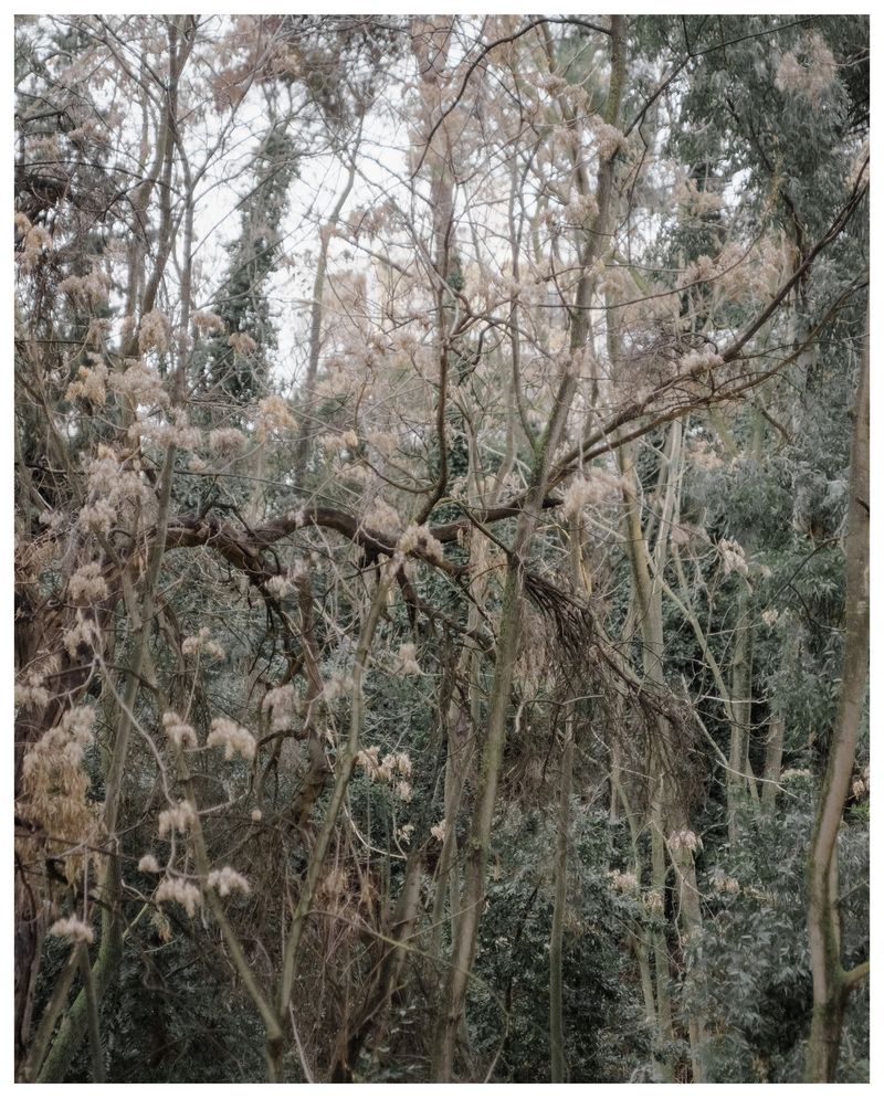 © Myrto Papadopoulos - Image from the ELEU SIS photography project