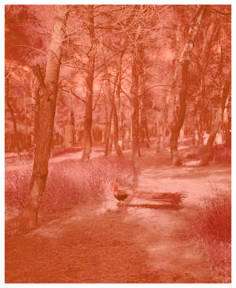 © Myrto Papadopoulos - Image from the ELEU SIS photography project