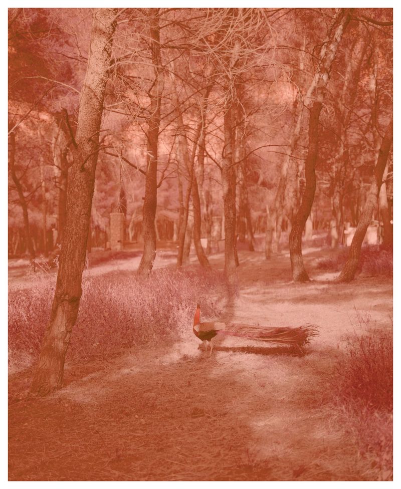 © Myrto Papadopoulos - Image from the ELEU SIS photography project