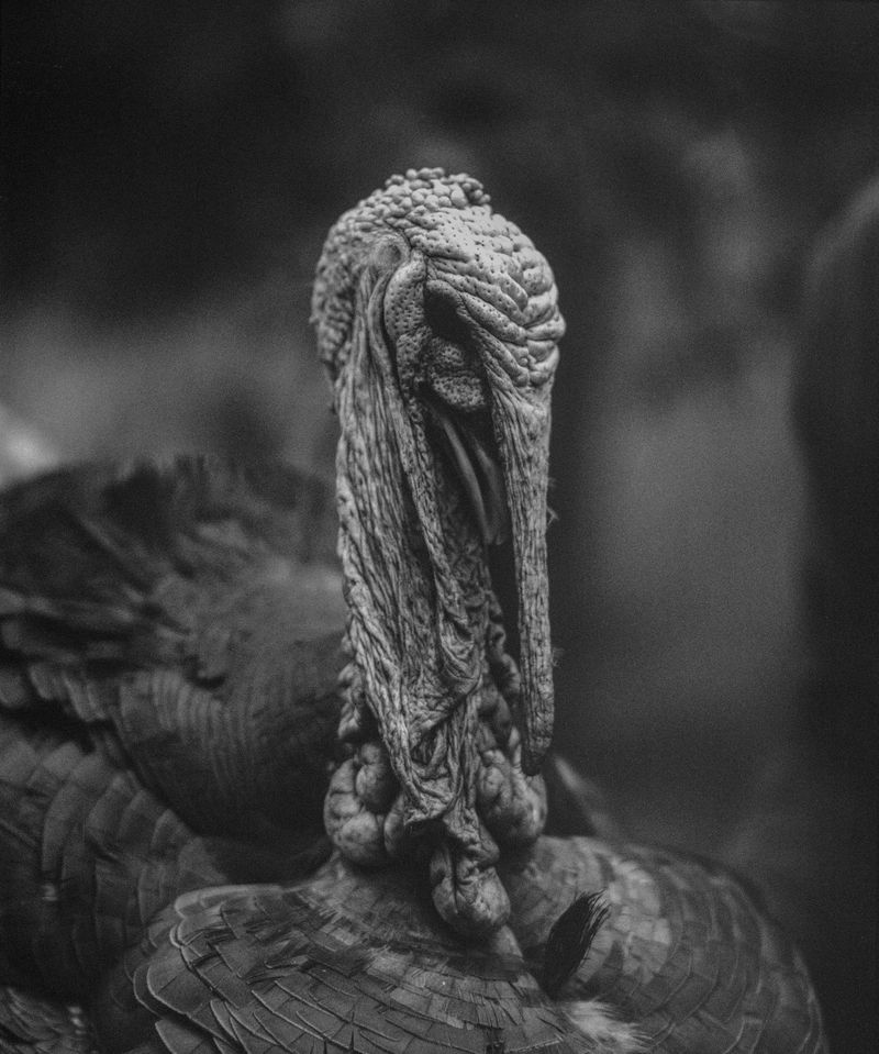 © Myrto Papadopoulos - Image from the Where The Water Flows photography project