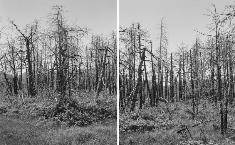 © Myrto Papadopoulos - Image from the Where The Water Flows photography project